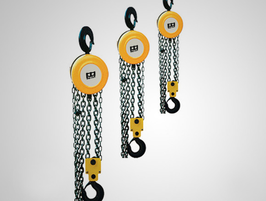 Un paranco a catena elettrico su misura da 1 tonnellata/5 tonnellate, gru elettrica dell'argano facile da gestire